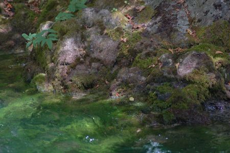 2006-07-07 Paddeln Sommerurlaub �sterreich Slowenien K 298