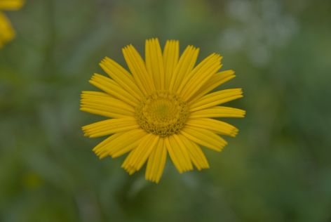 2008-06-30 Paddeln Sommerurlaub Bayer �sterreich 216