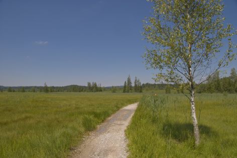 2008-06-30 Paddeln Sommerurlaub Bayer �sterreich 491