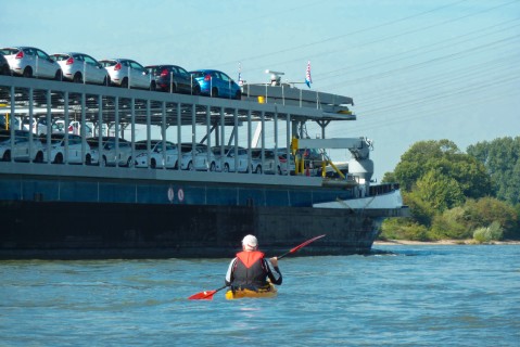 2010-09-11 Paddeln Rhein 037