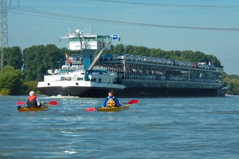 2010-09-11 Paddeln Rhein 040