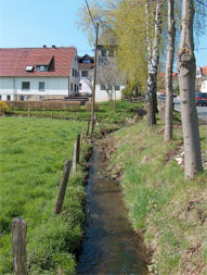 Alme-(15)